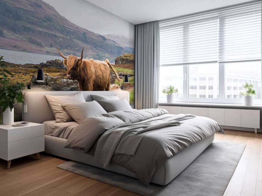 Schotse Hooglander op Mull