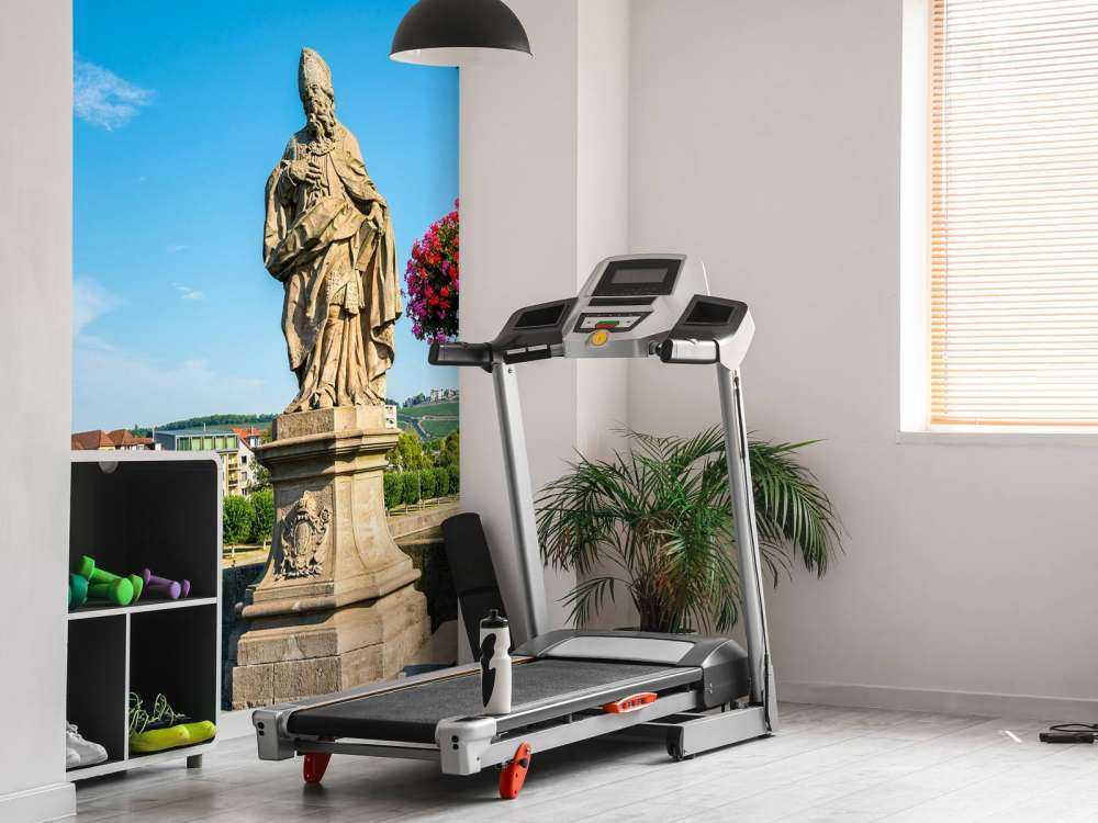 Frederik van Utrecht standbeeld