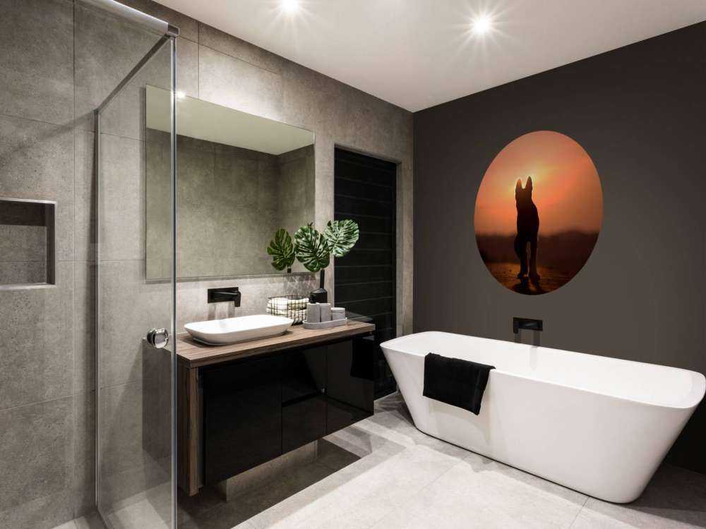 Hond bij zonsondergang