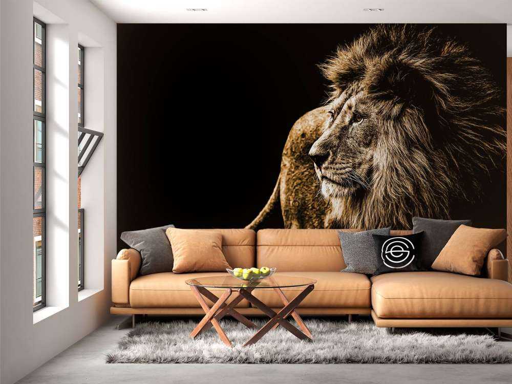 Harige leeuw met een zwarte achtergrond