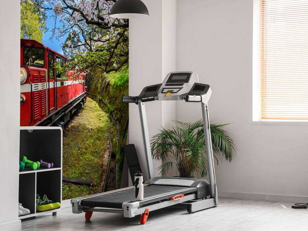 Rode trein door een parkje