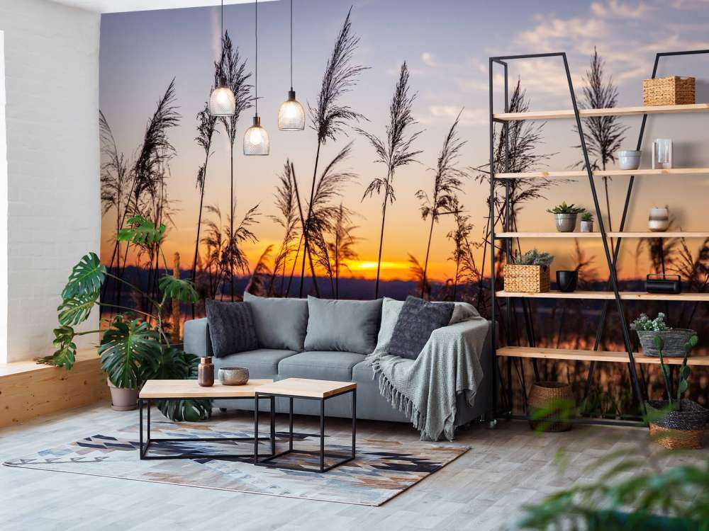 Rivier met riet bij zonsondergang