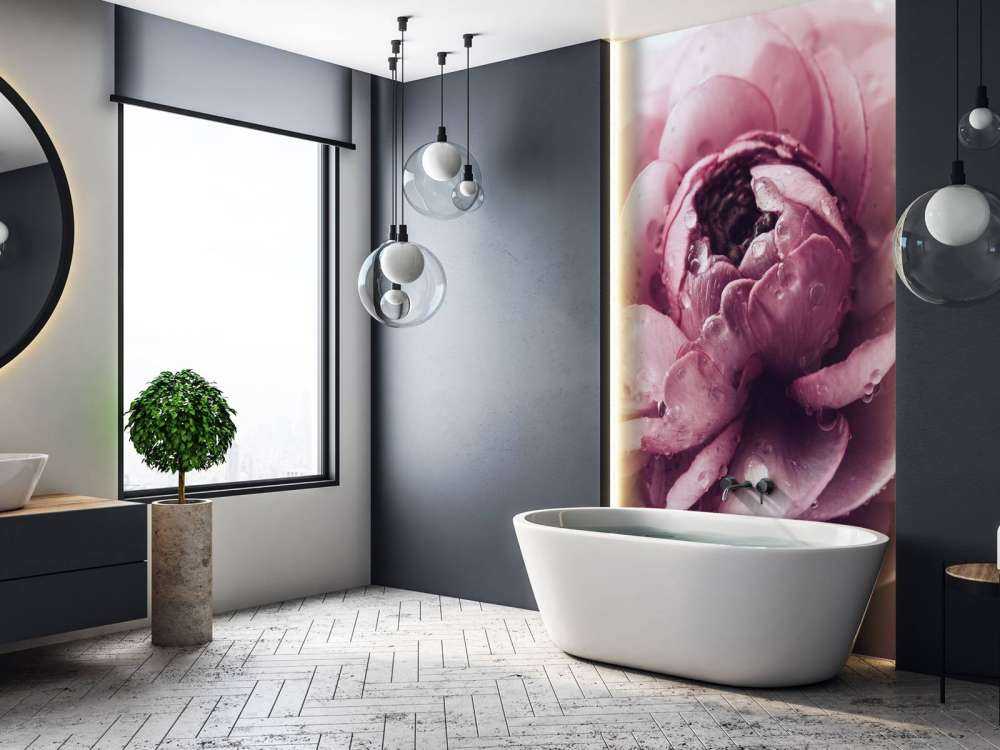 Roze boterbloem close-up