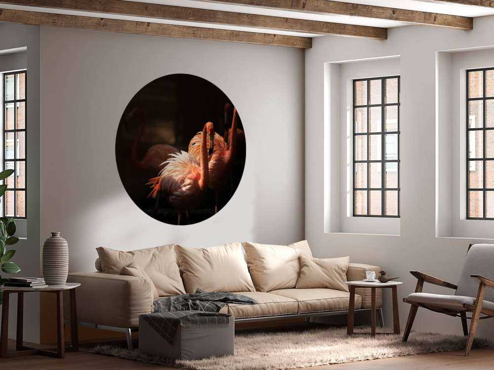 Flamingo's met een donkere achtergrond