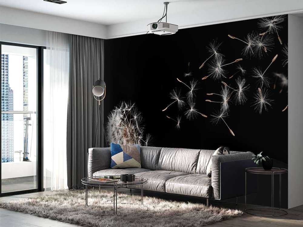 Paardebloem met een zwarte achtergrond