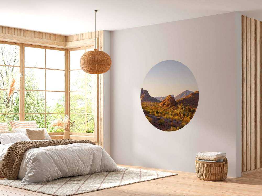 Woestijnlandschap met cactussen