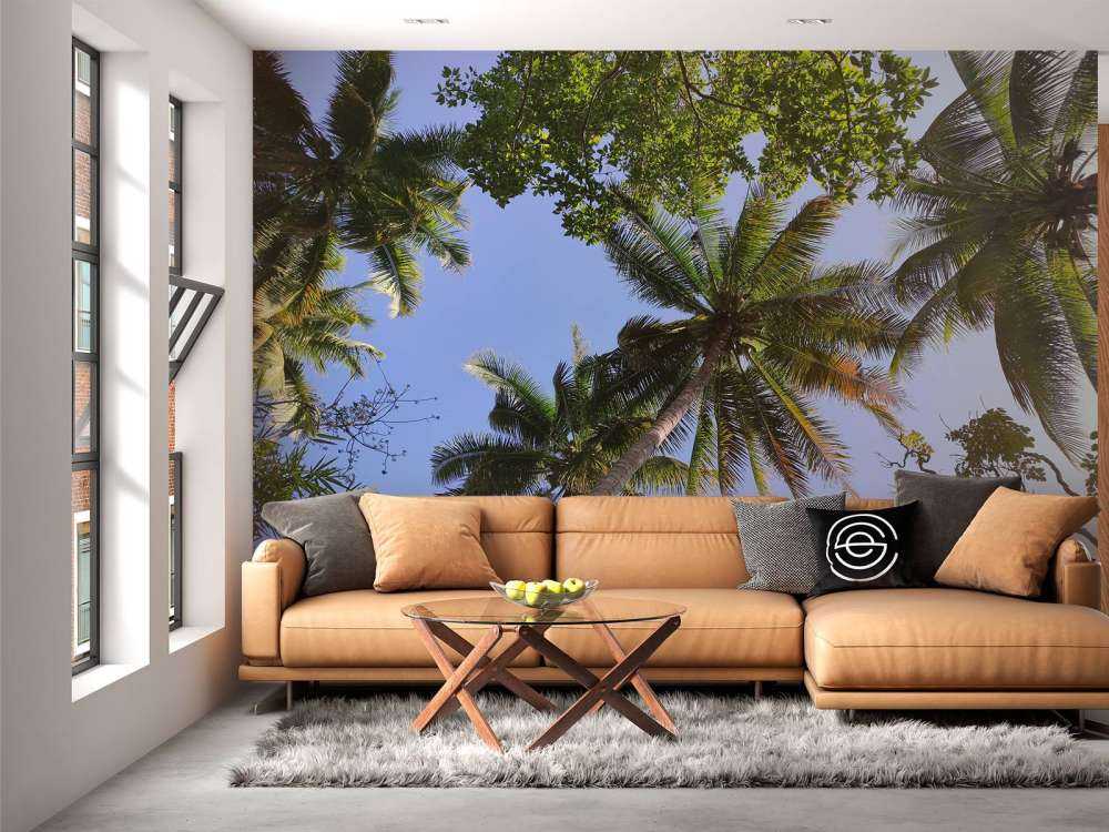 Palmbomen van onderaanzicht