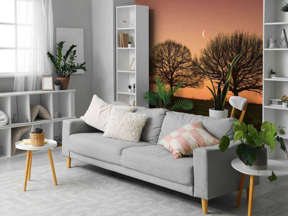 Maantje tussen de bomen