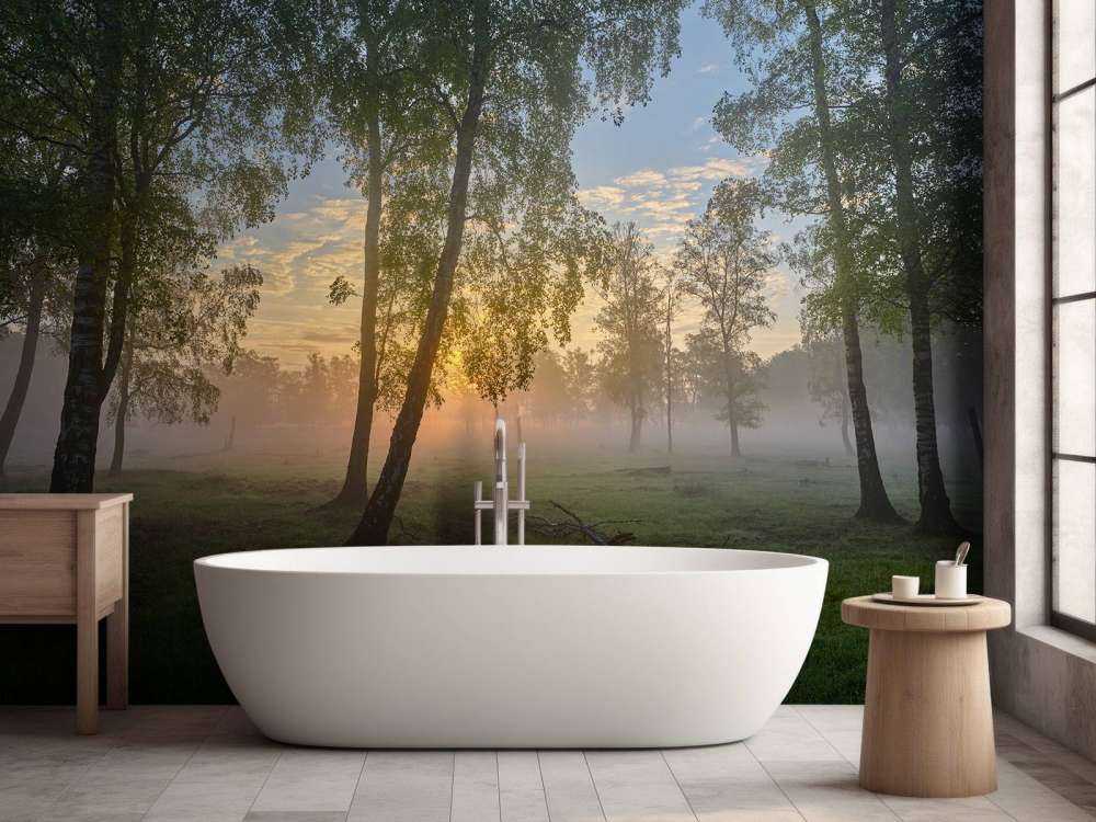 Zonsopgang bij de berken