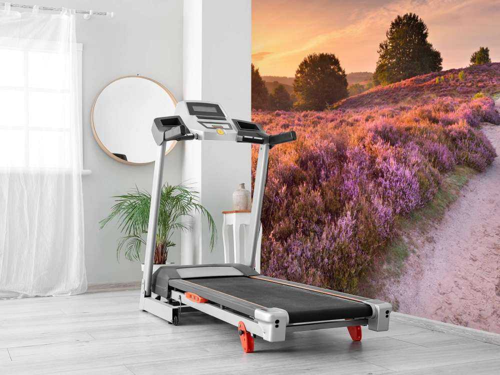 Pad met veel bloemen