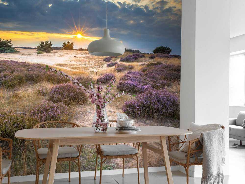 Zonsopkomst op de Veluwe