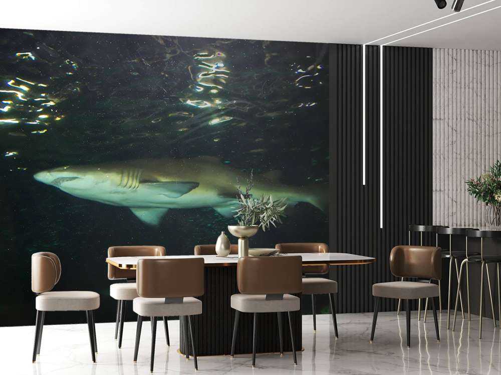 Grote witte haai in een aquarium