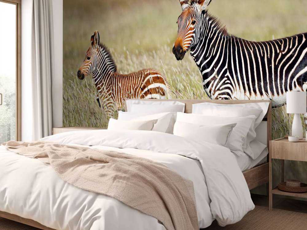 Kaapse bergzebra met een veulentje