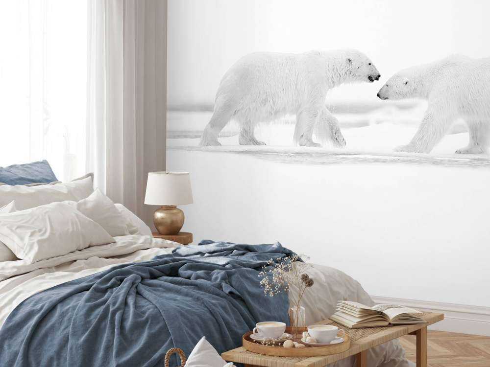 Twee grote ijsberen met een witte achtergrond