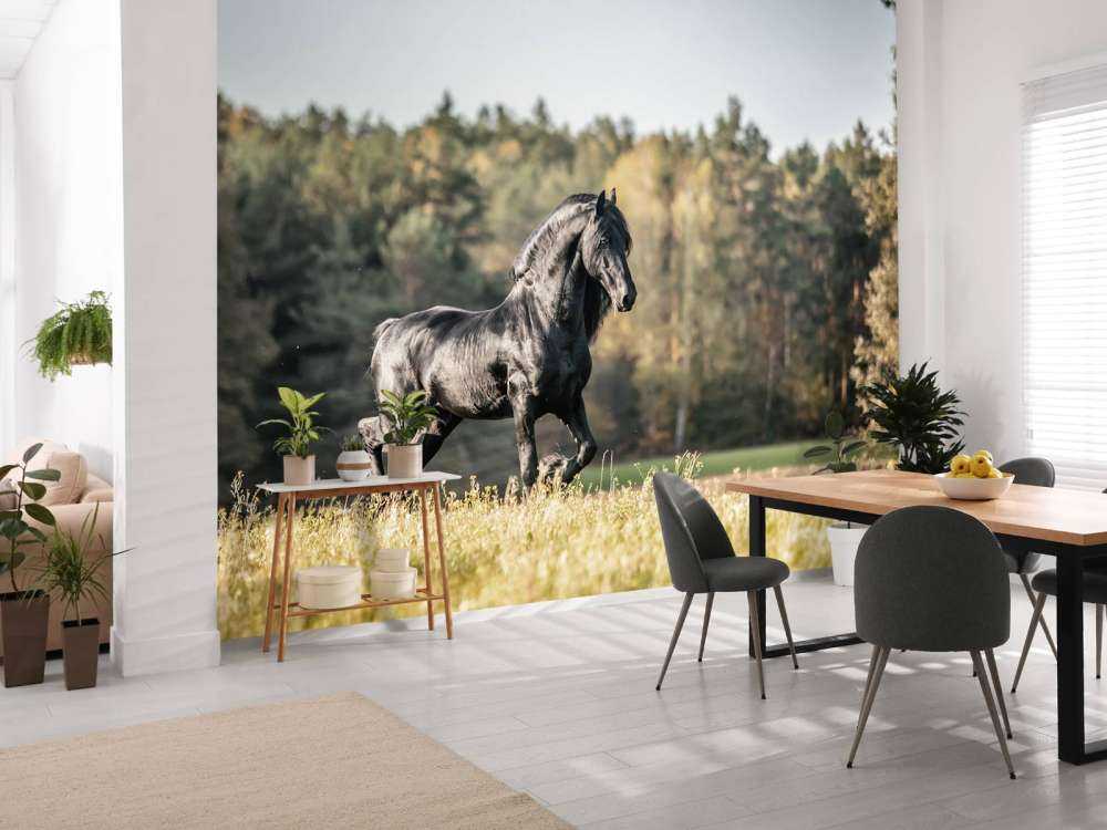 Fries Paard op het gras omringd door bomen