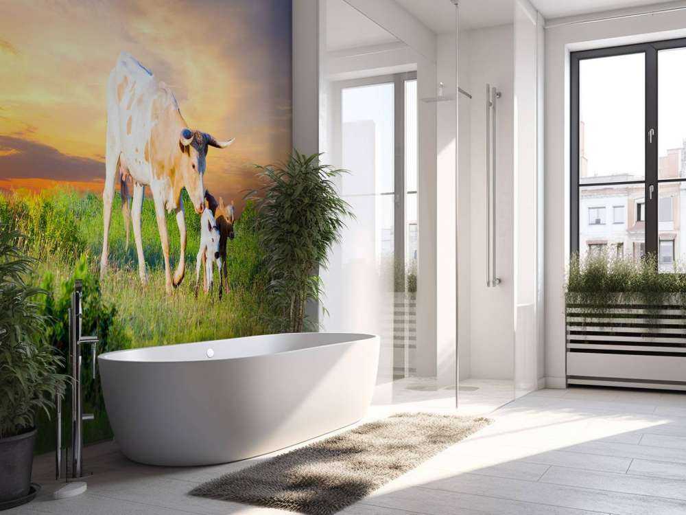 Koe en Kalf zonsondergang