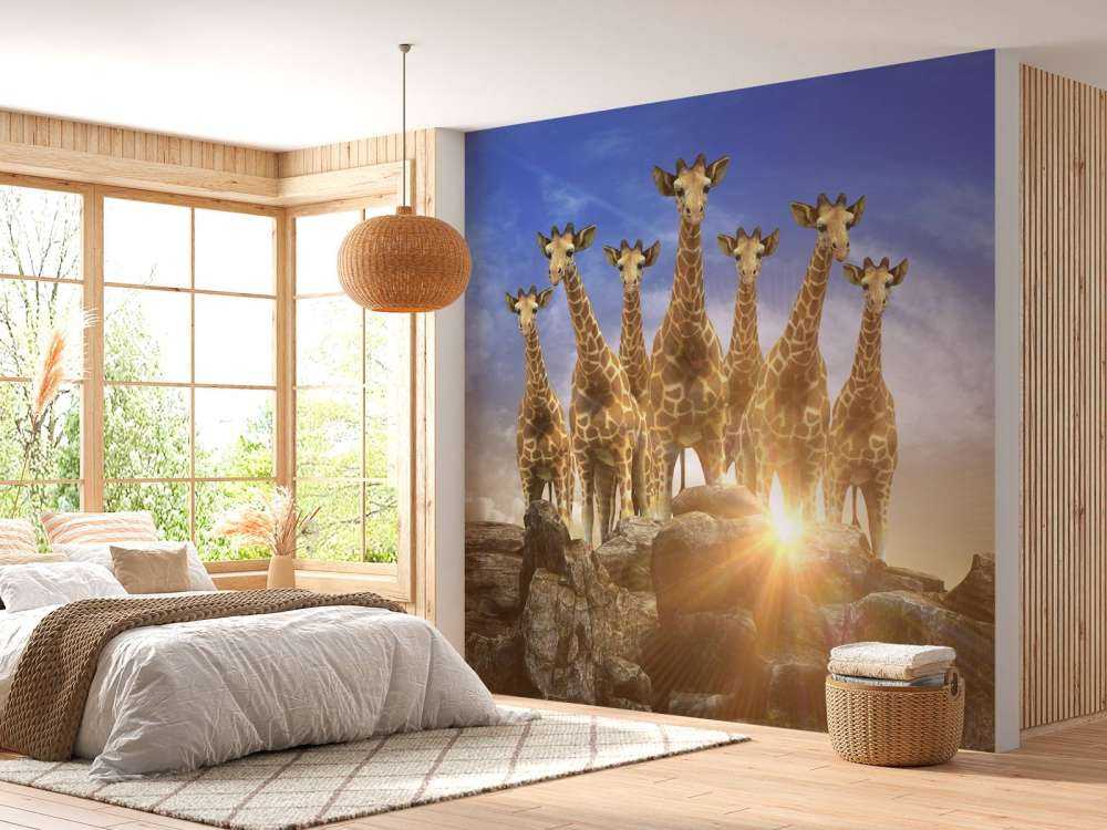 Giraffen bij zonsondergang