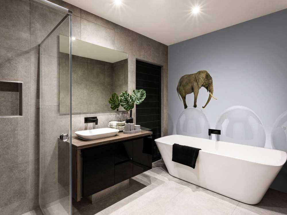 Olifant op een witte bal