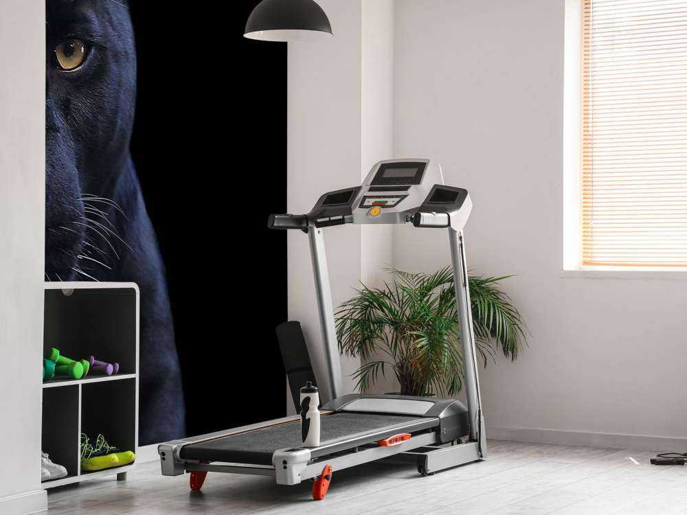 Panter met een zwarte achtergrond