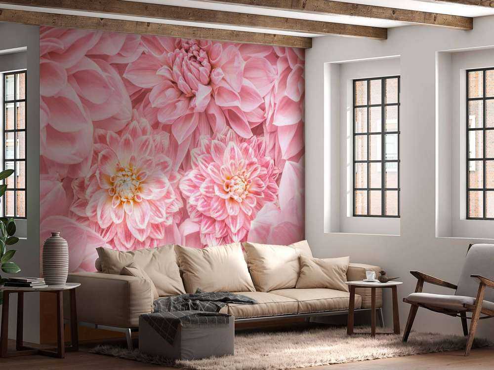 Roze bloemen met een gele kern