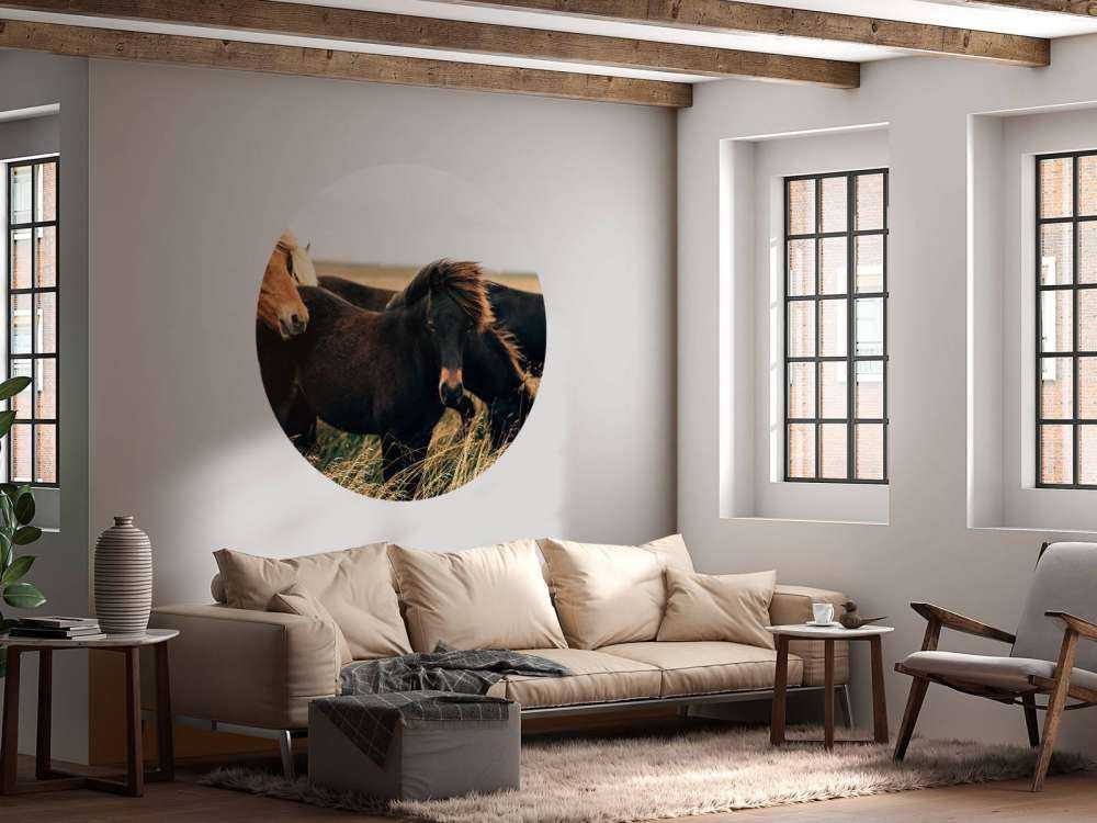 Prachtige paarden in de wind