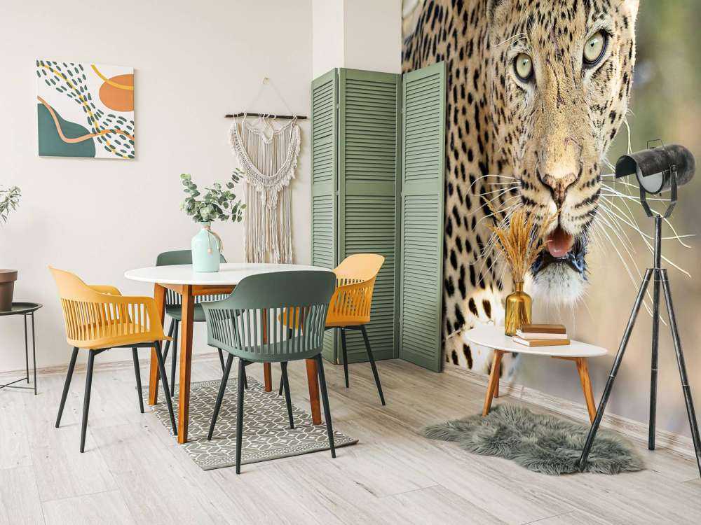 Portret Luipaard in Zuid-Afrika