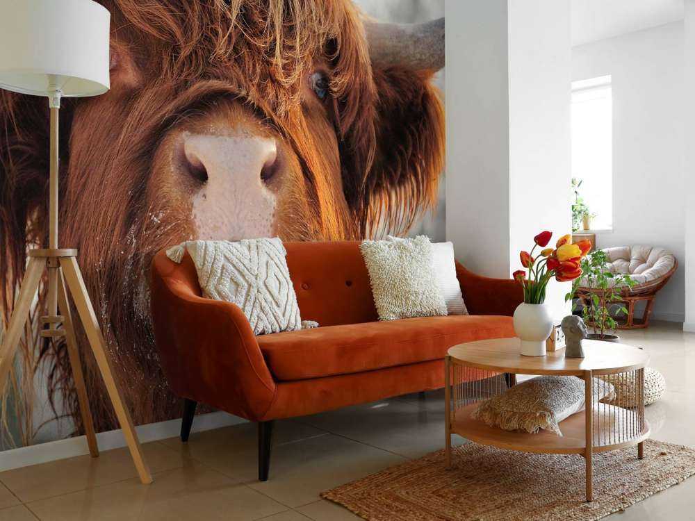 Grappige Portretfoto van Hooglander