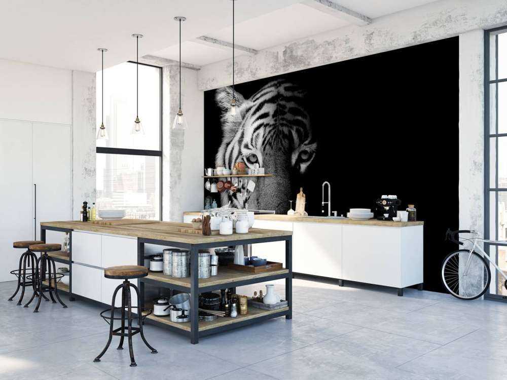 Tijger op zwarte achtergrond