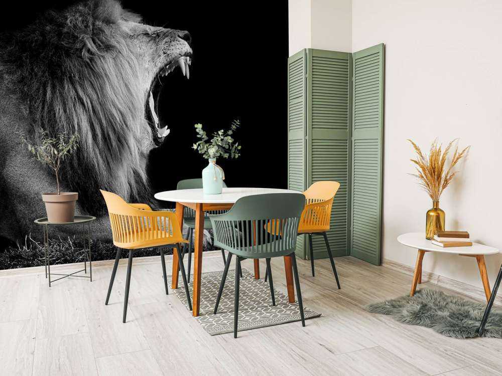 Gevaarlijke Leeuw op Zwarte Achtergrond