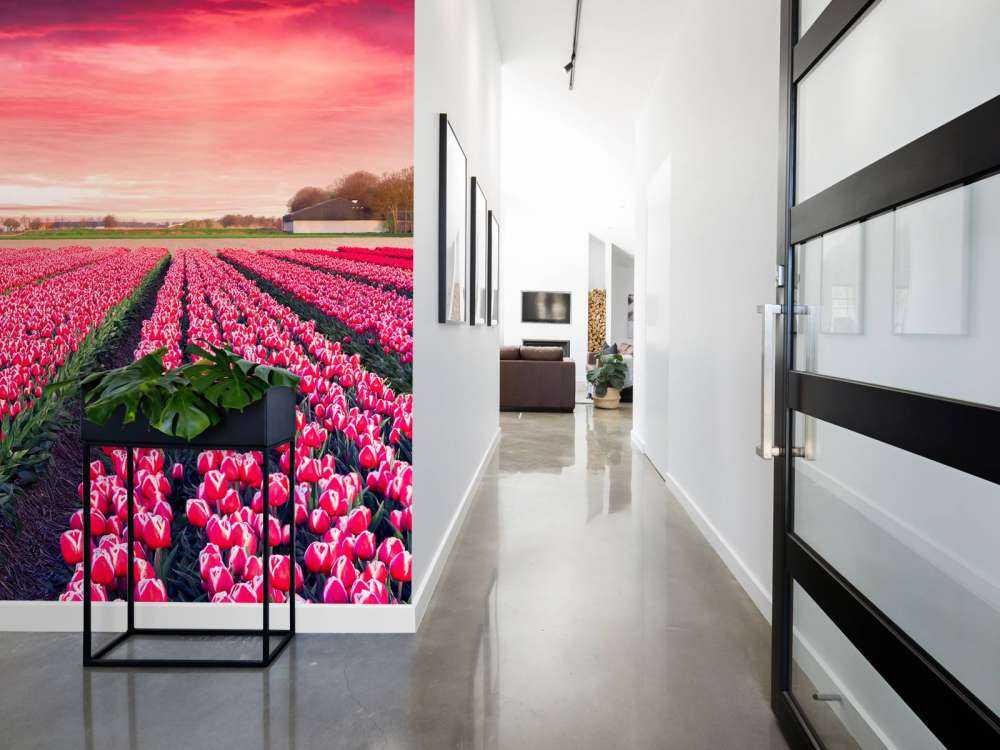 Roze tulpenveld met dynamische kleuren