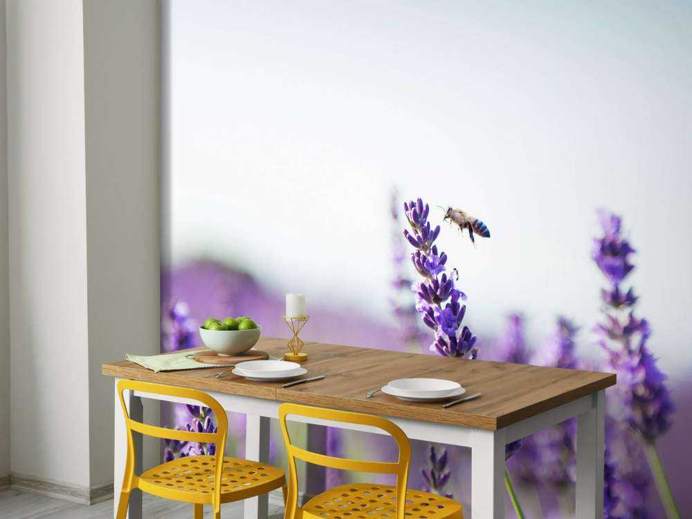 Lavendel steel close-up