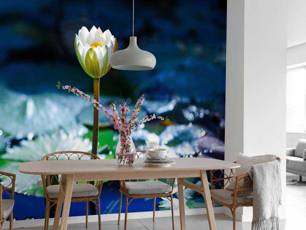 Lotusbloem in opkomend zonlicht