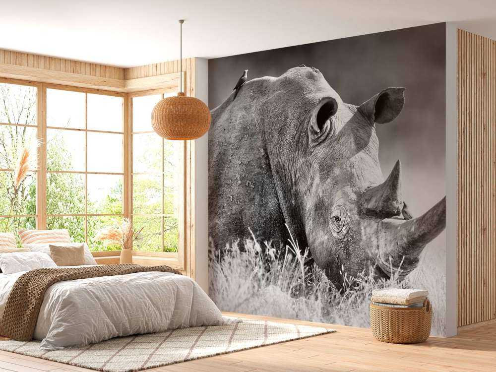 Neushoorn in zwart-wit