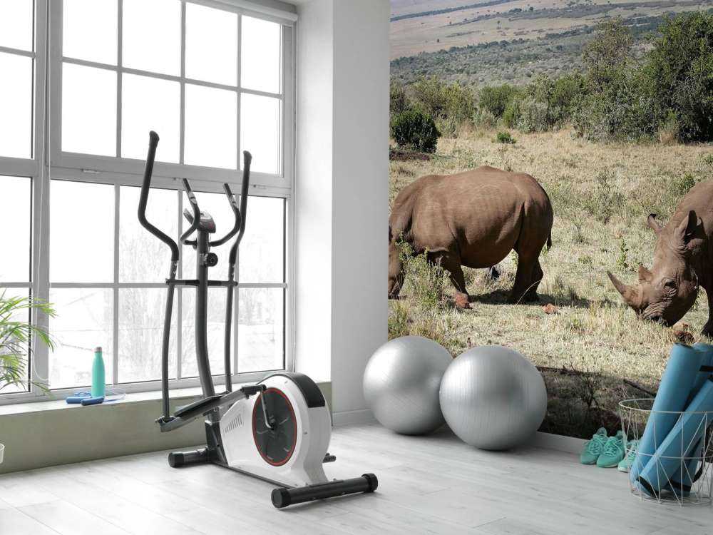 Grazende witte neushoorns