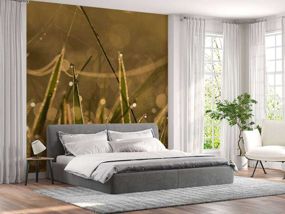 Glanzend Ochtendgras