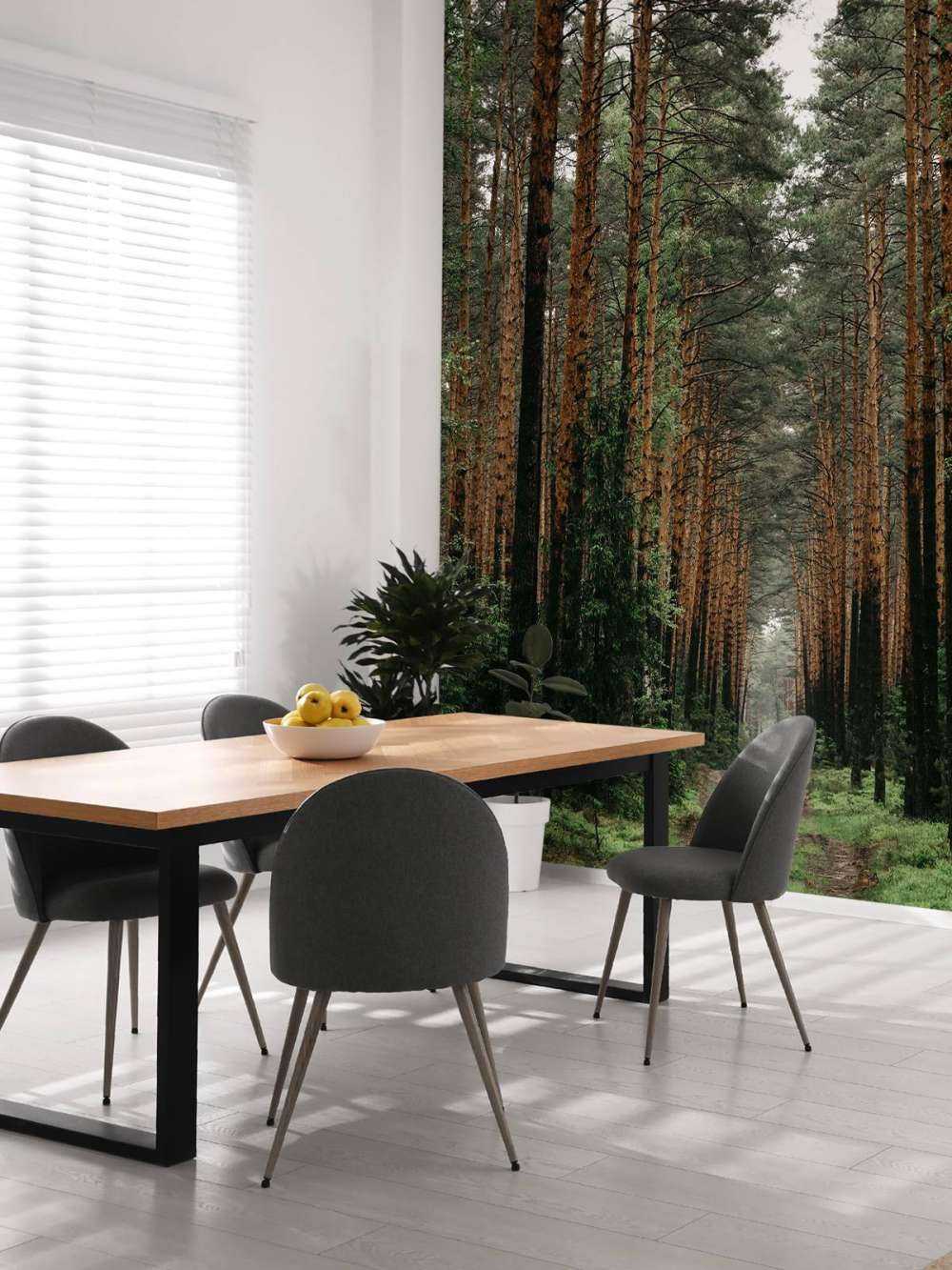 Symmetrie van het Woud