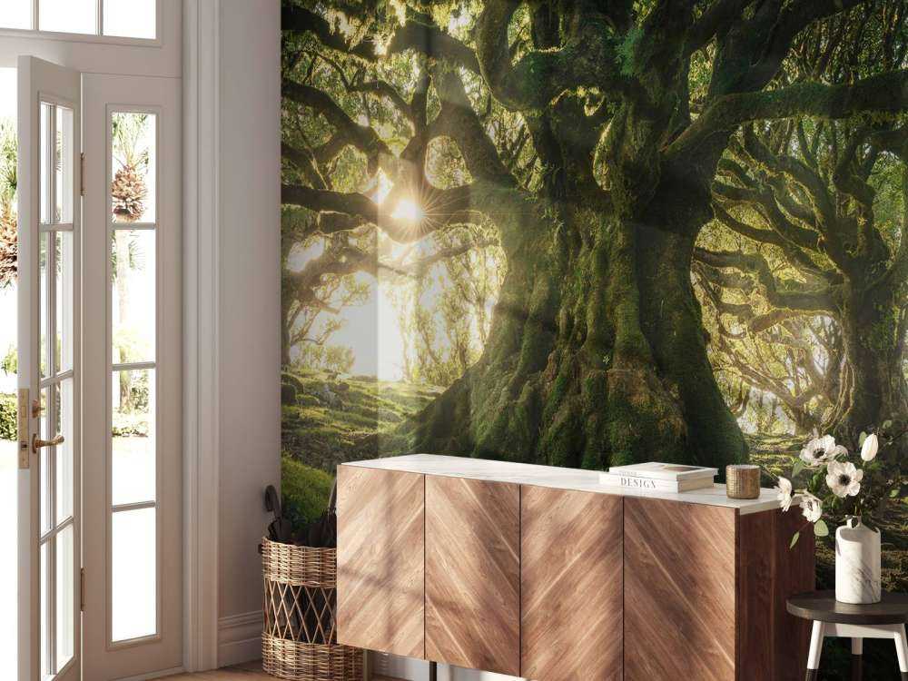 Betoverd Woud in Zonlicht