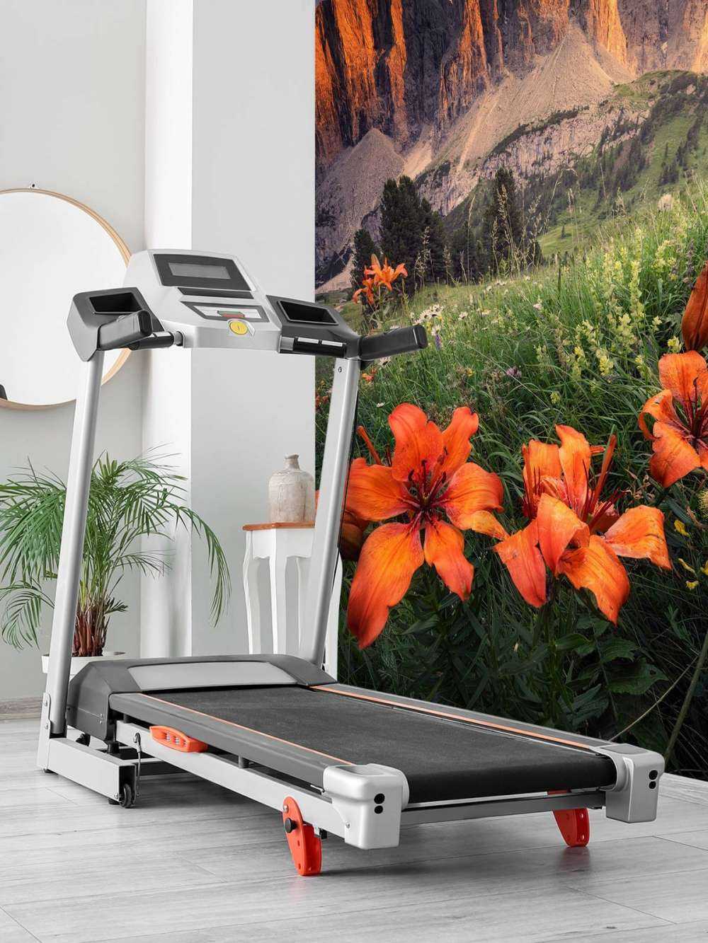 Zomergloed in de Alpen