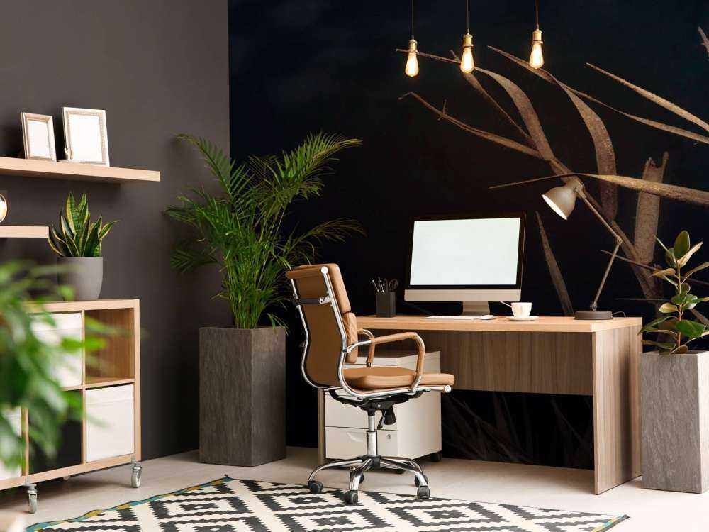 Verdorde Rietstengels aan het Water