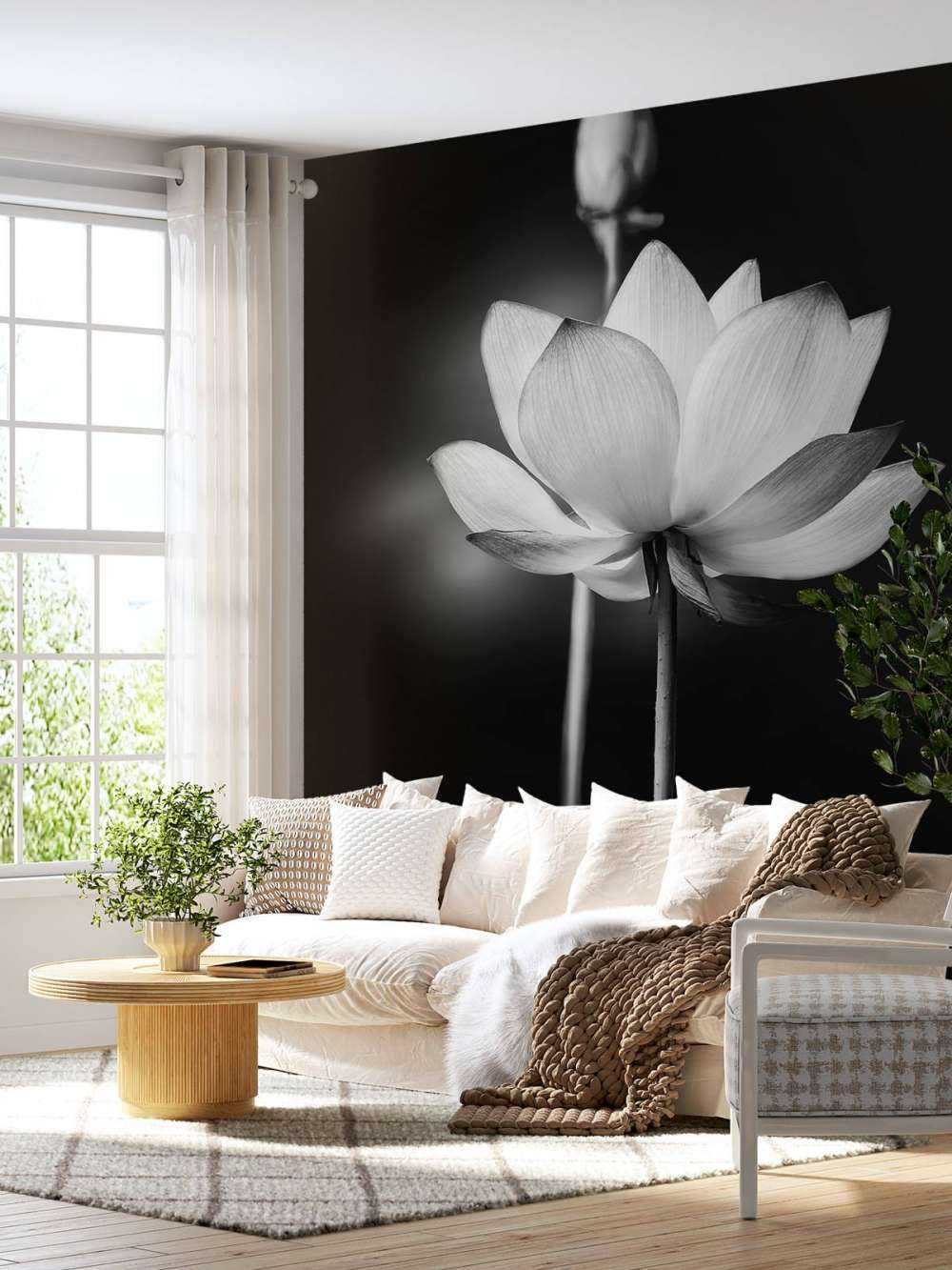 Lotusbloemen zwart-wit