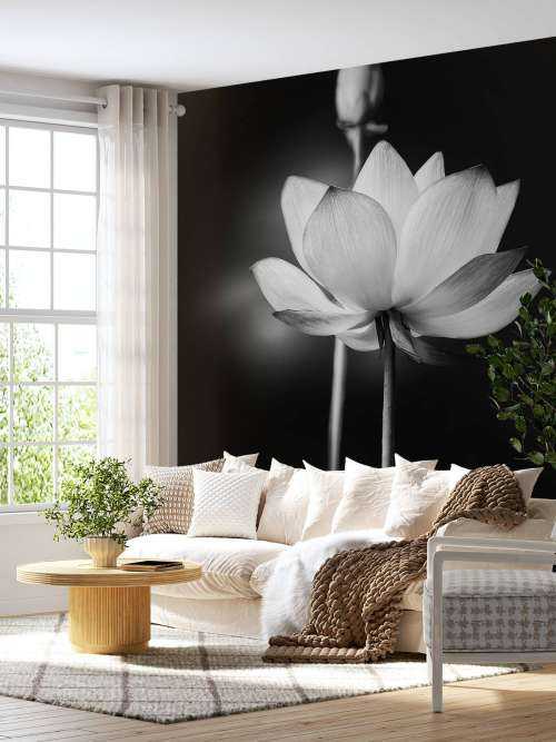 Lotusbloemen zwart-wit