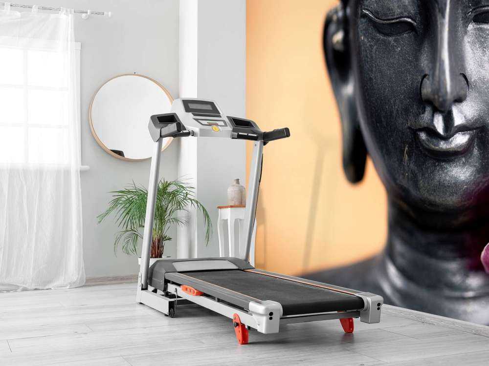 Buddha en roze orchidee