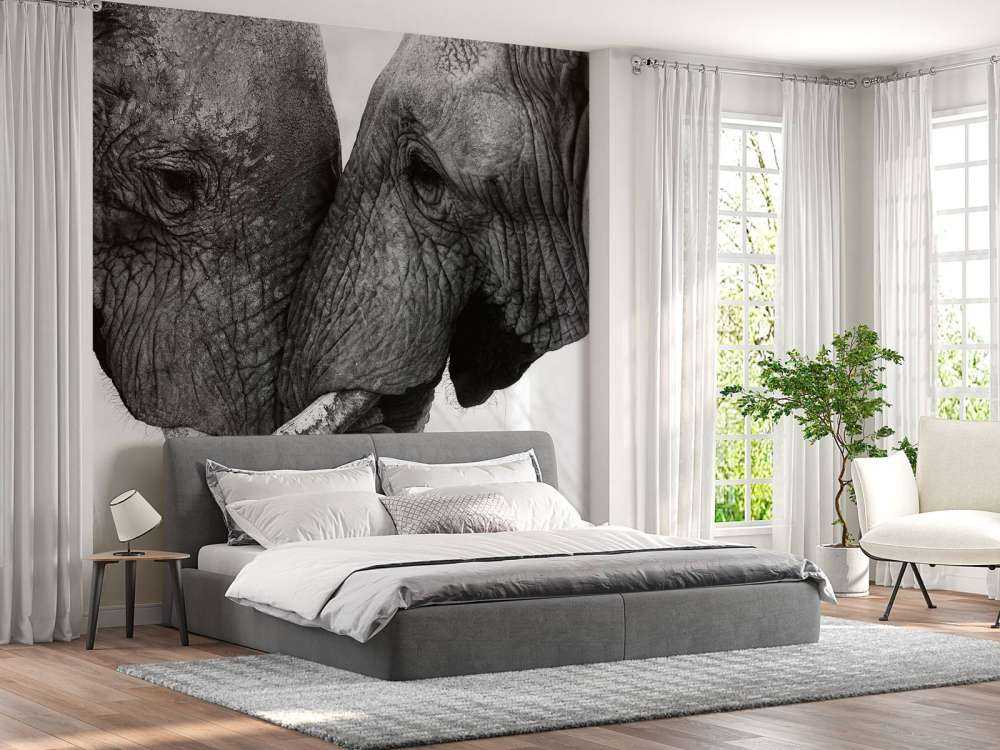 Fotobehang olifanten