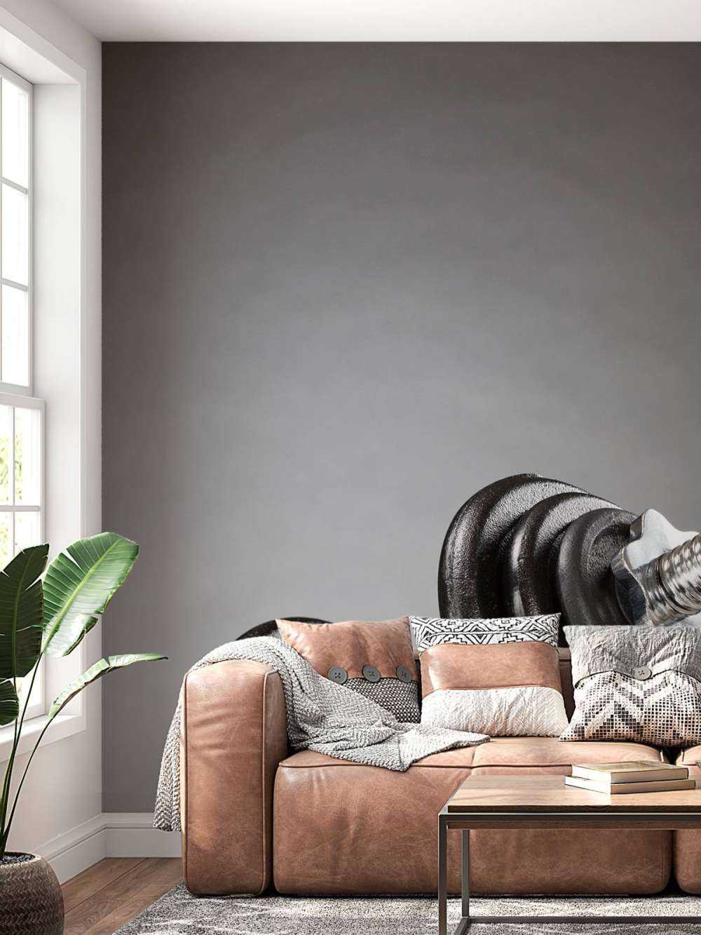 Dumbell met zwarte schijven