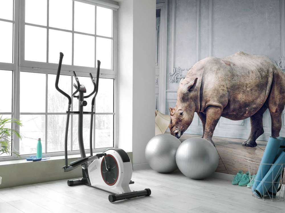 Neushoorn met lampenkap