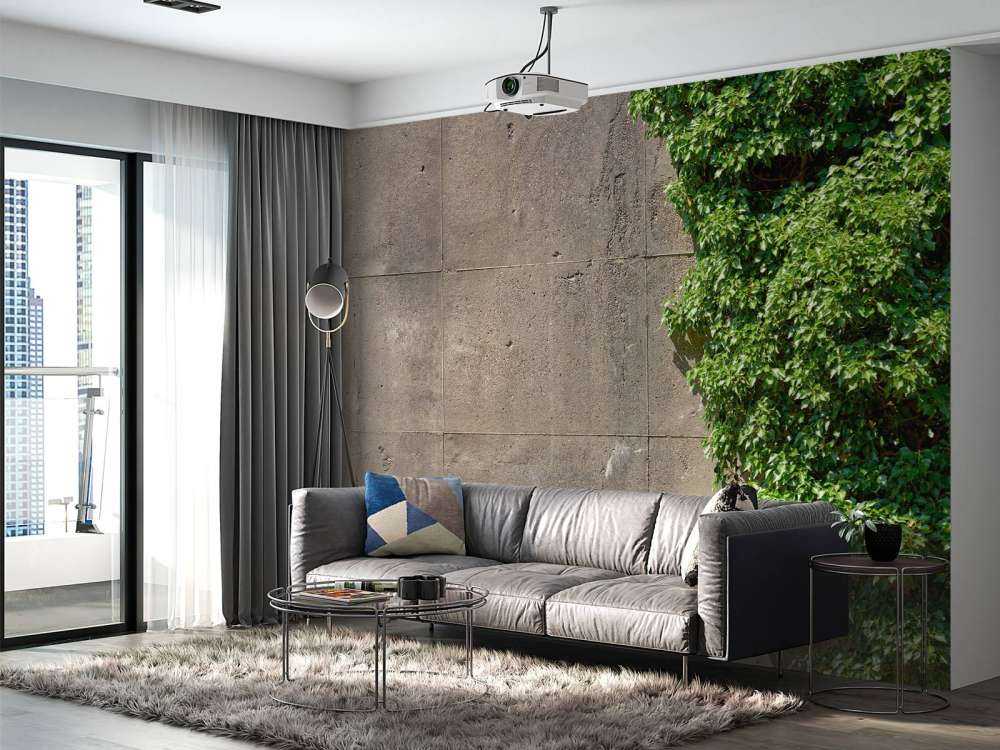 Beton met struik