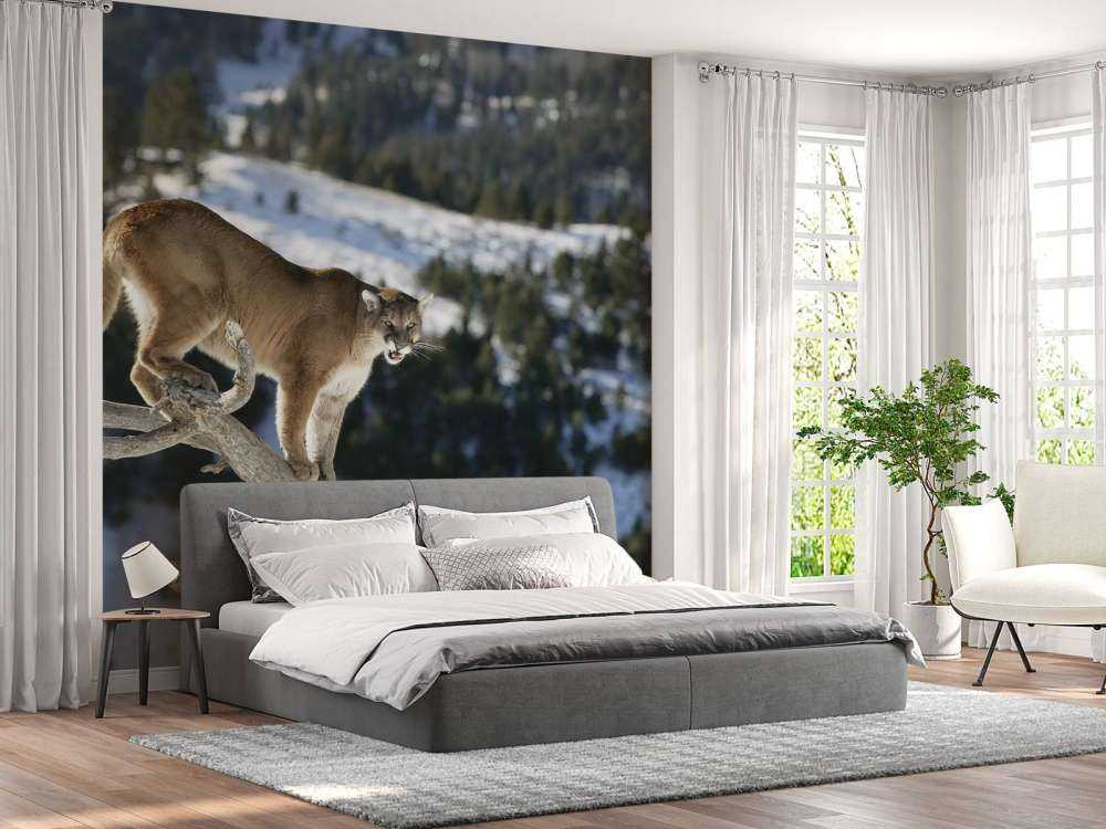 Bergleeuw op een dode boom