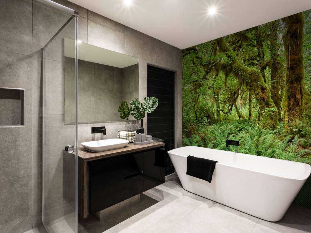 Varens in een oud bos