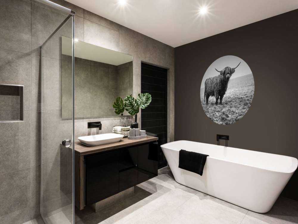 Schotse hooglander in het gras