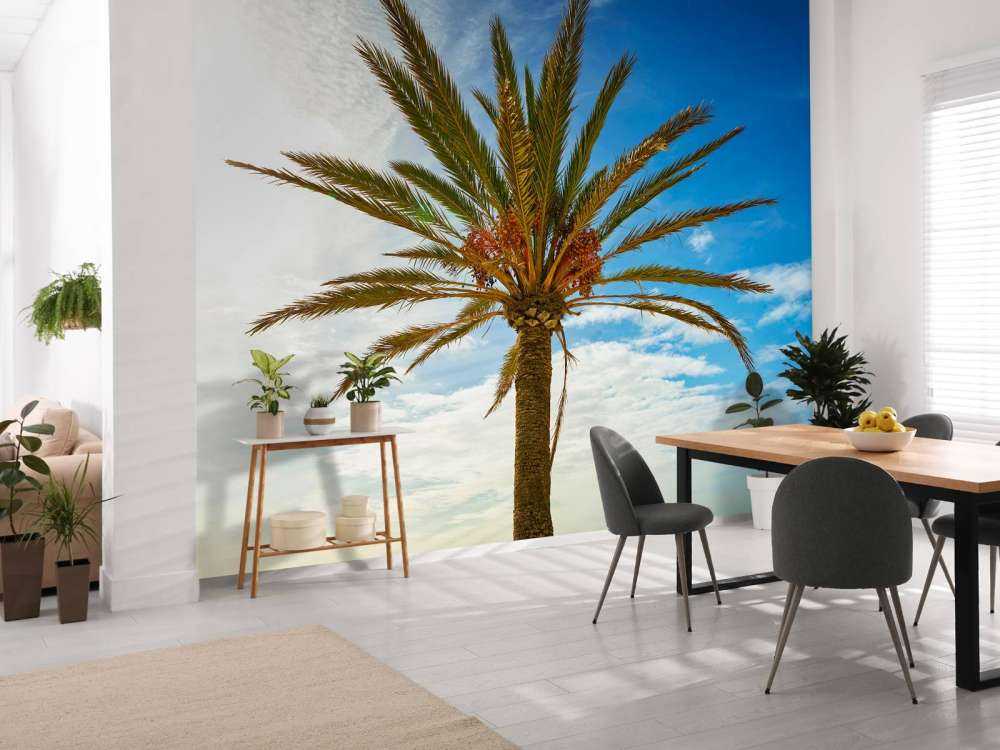 Mooie palmboom